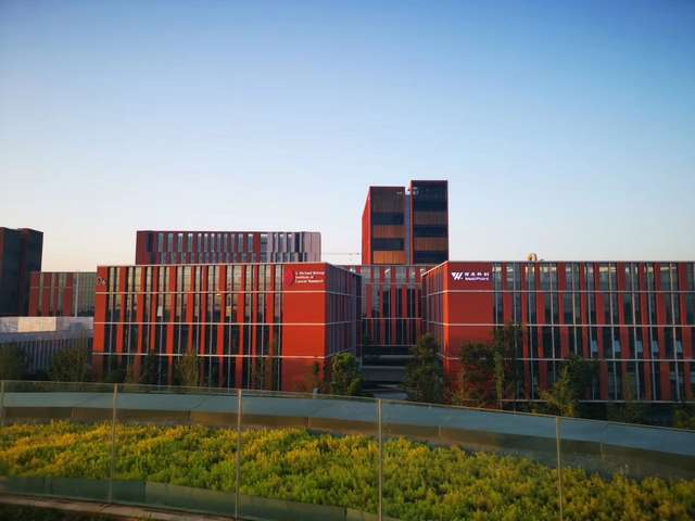 镇江常规哈尔滨轴承经销商