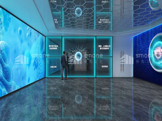 深圳环保鹅蛋托怎么卖